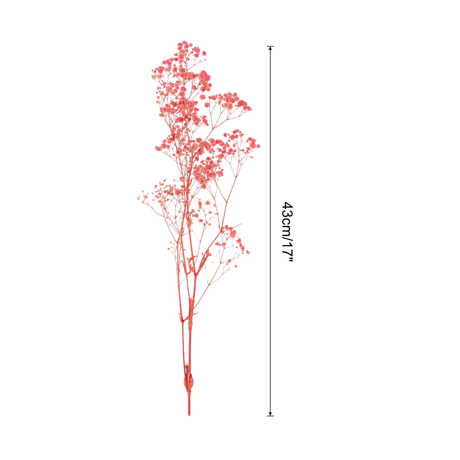 Dried Baby's Breath Flower 17 Inch Pink Natural Baby's Breath Branches for Wedding Party Home Decoration 3 Pcs