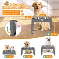 thumbnail image 2 of Cuencos elevados para perros COMESOON 4, ajustables en altura, con 2 x 1500 ml SS, 2 of 8