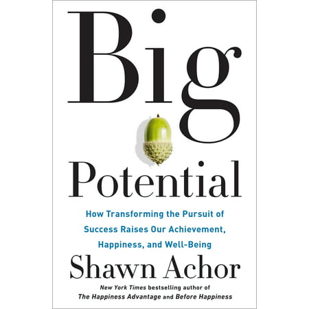 Big Potential : How Transforming the Pursuit of Success Raises Our Achievement, Happiness, and (The Best Way To Raise Money)