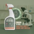 thumbnail image 3 of Boxelder Bug & Asian Lady Beetle Spray – Natural, Plant-Based Indoor Outdoor Killer | Non-Staining, Safe for Doors, Windows, Siding Baseboards Child Pet Safe, Low Odor, Eco-Friendly (22 oz), 3 of 3