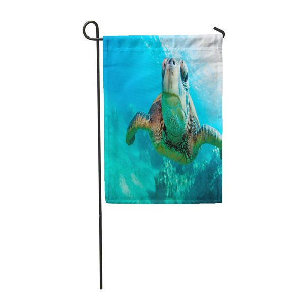 POGLIP Green Hawaii Underwater Sea Turtle Close Contact Coral Eye Garden Flag Decorative Flag House Banner 12x18 inch