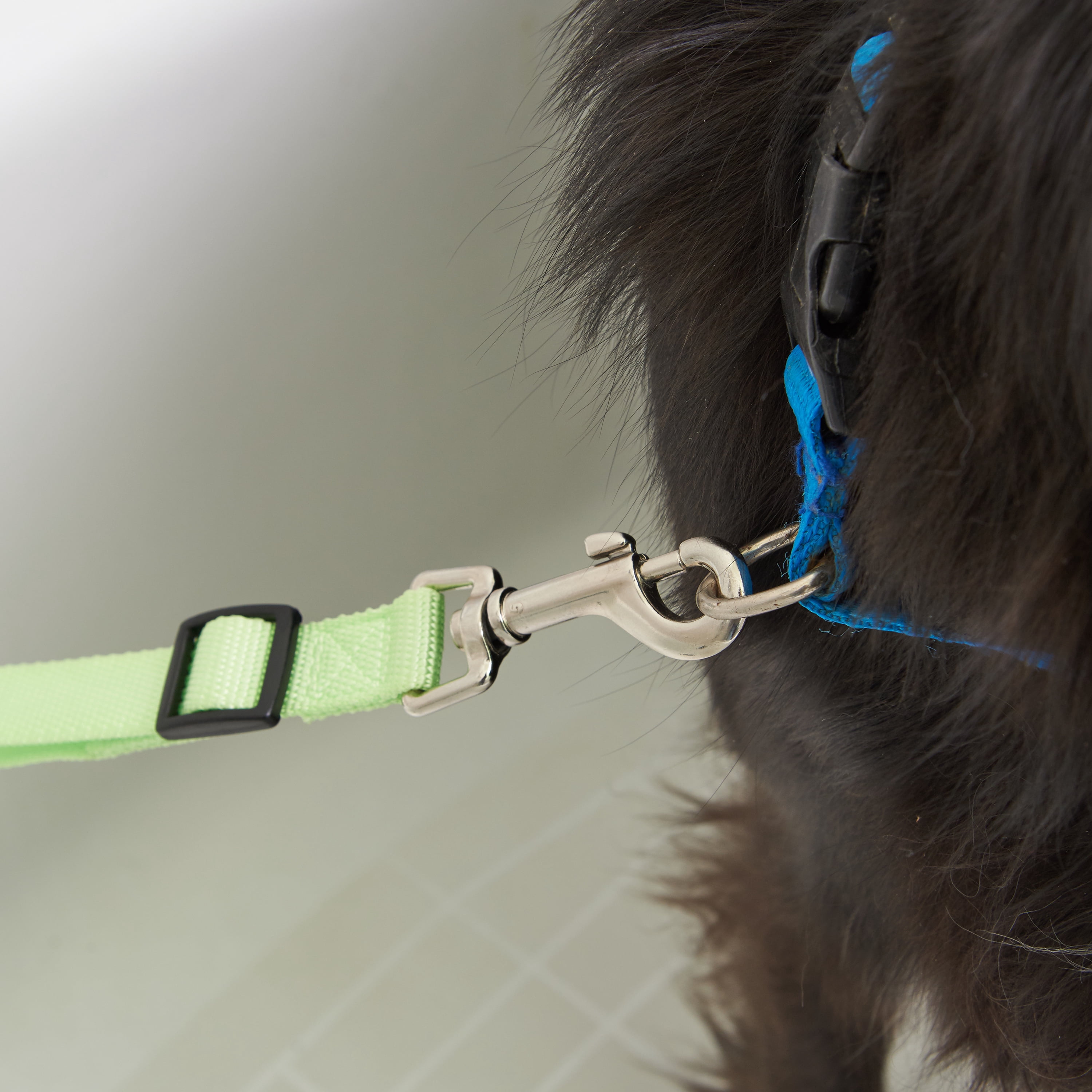 Rinse Ace Safe & Secure Dog and Pet Bathing Tethers, 2 Pack