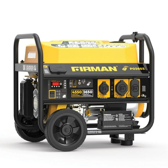 FIRMAN Gas Powered 4550/3650 Watt (performance Series) Extended Run Time Portable Generator P03603