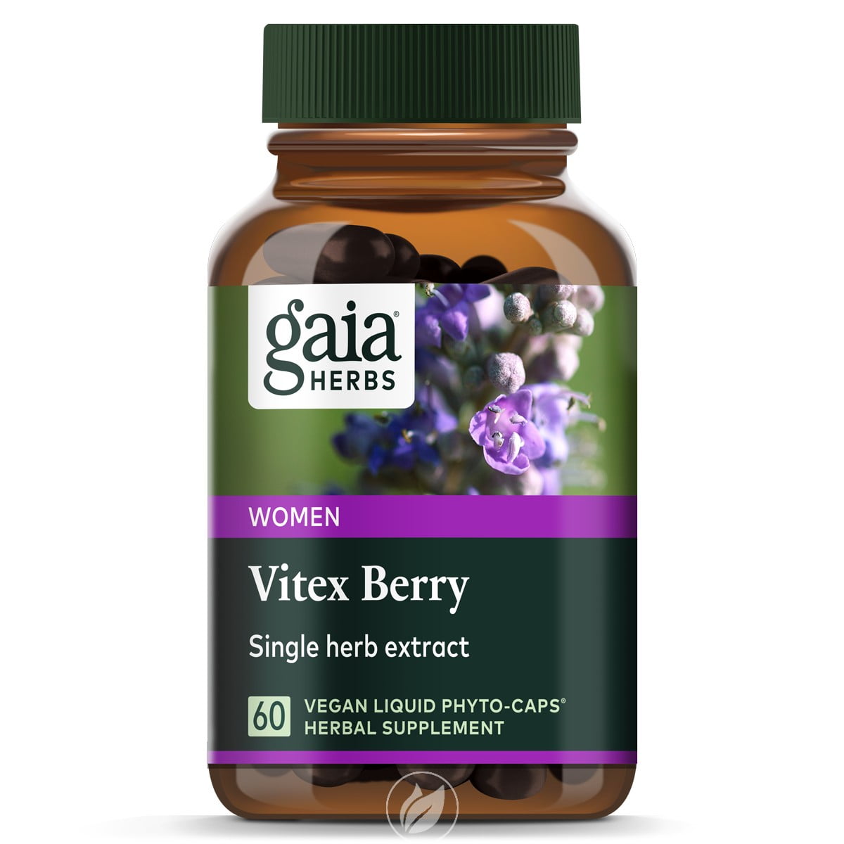 Gaia Herbs Vitex Berry Phyto-Caps 60 ct - Walmart.com