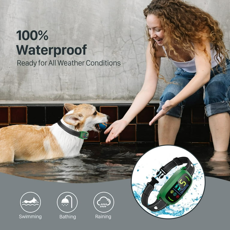 Dog Training Collar Best Bark Collar For Small Dogs Bark Collar