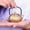 Golden A, variant on DOLITY Japanese Tetsubin Cast Iron Teapot Gold Color Small Kettle Mini Teapot 50ml for Golden A