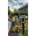 thumbnail image 6 of Brilliance Outdoor Solar Landscape Lighting Stake, Black, Roswell Landscape Light, 6 of 7