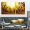 thumbnail image 1 of Forêt d'Automne Jaune au Soleil - Impression sur Toile, 1 of 3