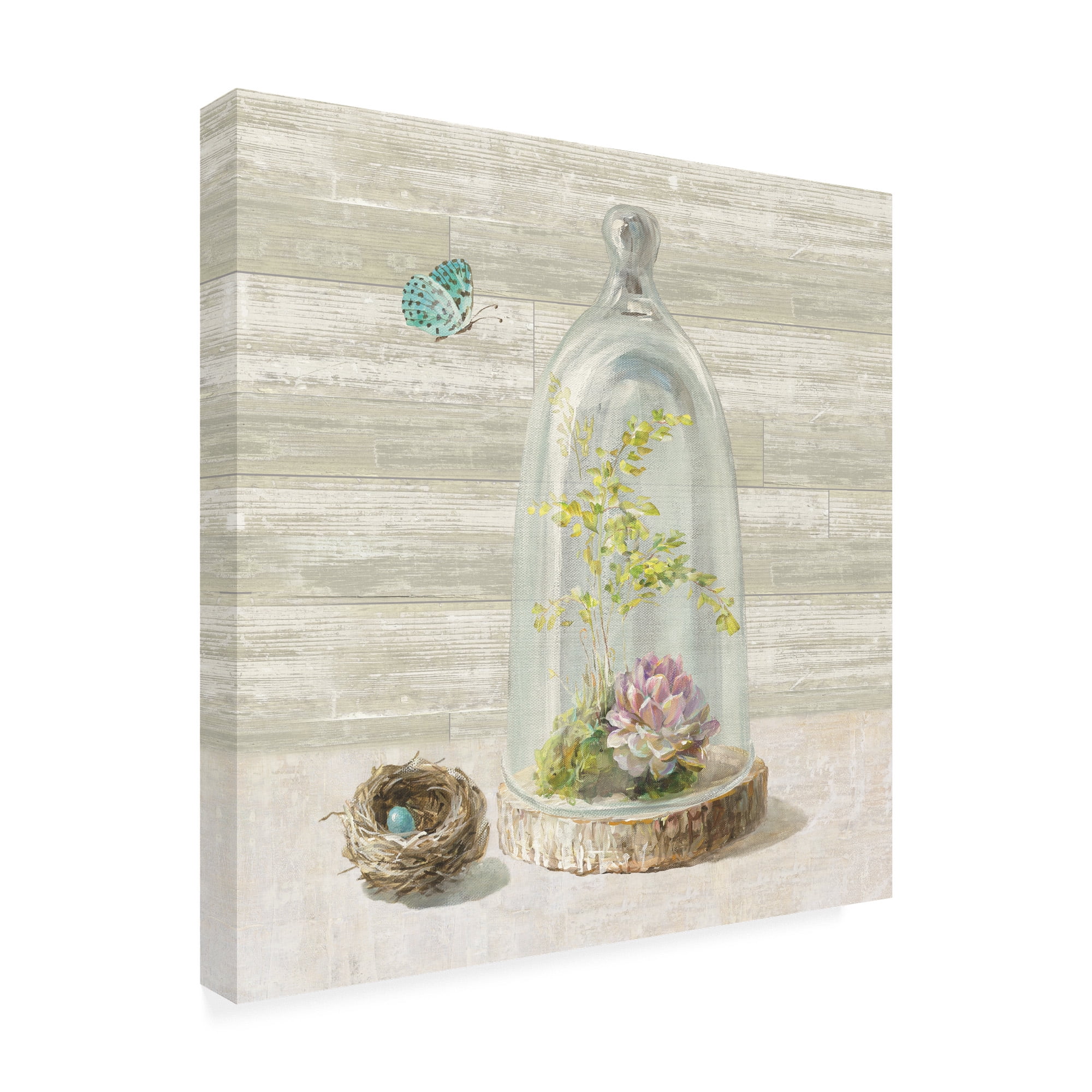 Trademark Fine Art 'Succulent Garden III' Canvas Art by Danhui Nai