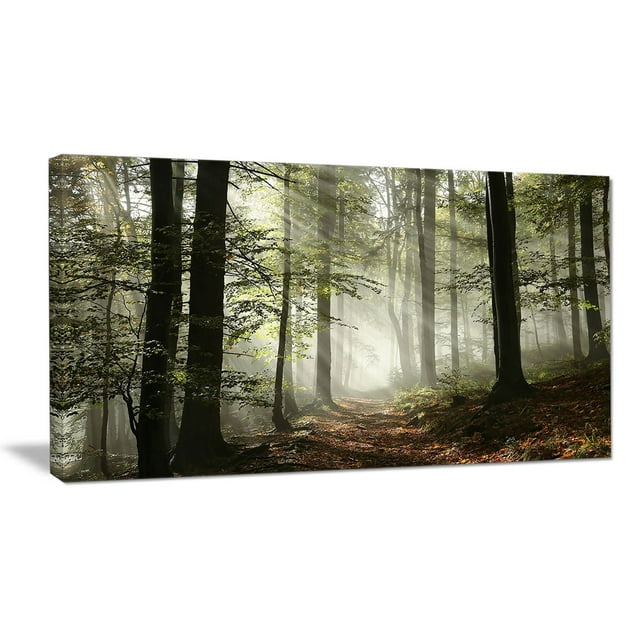 Design Art Light in Dense Fall Forest with Fog Landscape Canvas Art Print