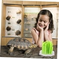 thumbnail image 5 of Humidificador de aire para reptiles, humidificador de plantas más fresco, tamaño Mini, para mascotas, 1 unidad, 5 of 5