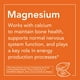 thumbnail image 4 of Suplementos NOW Foods Citrato de magnesio en polvo puro, 240 ml, 4 of 4
