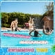 thumbnail image 4 of Fideos Inflables para Piscina WinnerWhy 2 Pzas Flotadores de Tela para Piscina, 4 of 6