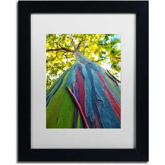 Trademark Fine Art "Rainbow Eucalyptus Tree" Canvas Art by CATeyes, White Matte, Black Frame
