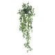 thumbnail image 1 of Matsuzay Bonsái de plantas artificiales, decoración de hojas falsas para el hogar, hermosa simulación en maceta, interior para pared de jardín, fiesta Decoración mándala Matsuzay HA084198-02, 1 of 6