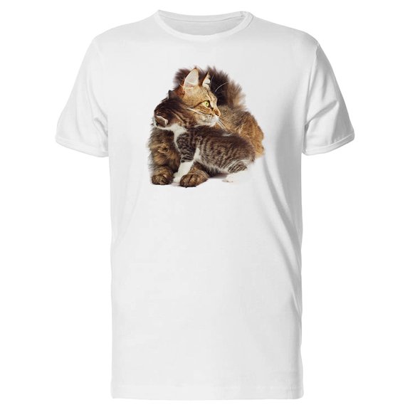 Kitten Hugs Cute Cat Tee Men's -Image by Shutterstock