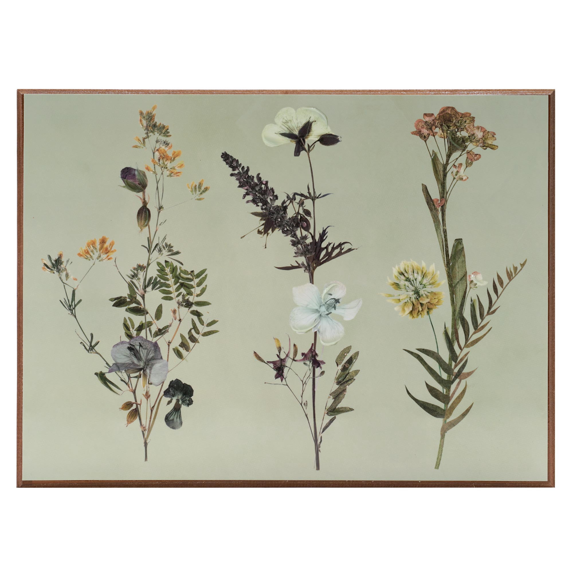 Crystal Art Gallery - Dried Flowers in Green Base Wooden Wall Art Farmhouse Decor - 12" x 16"