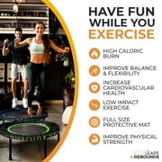 The Leaps & ReBounds Fitness Trampoline - Bungee Rebounder