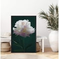 thumbnail image 3 of IDEA4WALL Framed Canvas Art Wall Decor A White Chinese Peony with Black Background Floral Flower Photography Realism Romantics Closeup Relax/Calm for Dorm Home Office - 24"x36", 3 of 4