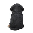 thumbnail image 4 of HI-LINE GIFT LTD. BERNESE MOUNTAIN DOG PUPPY, 4 of 5