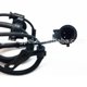 thumbnail image 3 of Sensor de velocidad de rueda ABS para FORD 6L2Z2C204A ALS1715 oso de fresa Electrónica, 3 of 3