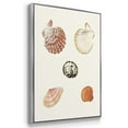 thumbnail image 3 of Pastel Knorr Shells VI - Framed Premium Gallery Wrapped Canvas L Frame 3 Piece Set - Ready to Hang, 3 of 9