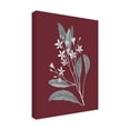 thumbnail image 2 of Wild Apple Portfolio 'Pomegranate Botanical V' Canvas Art, 2 of 3