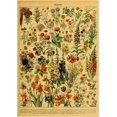 thumbnail image 1 of Póster de ilustración botánica, carteles de Papel Kraft de hojas de plantas y flores, decoración Vintage para el hogar, habitación, Bar, cafetería, arte estético, pintura de pared, 1 of 4