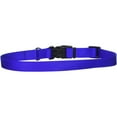 thumbnail image 2 of Coastal Pet Products 1-Inch Nylon Adjustable Dog Collar, Large, Blue, 2 of 2