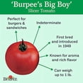 thumbnail image 3 of Burpee Graines de Tomate Big Boy 125 Graines, 3 of 3