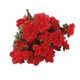 thumbnail image 5 of 2 X Artificial Azalea 29 Cabeza Flores Inicio Jardín Decoración Artesanía Rojo, 5 of 9