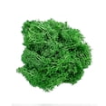 thumbnail image 2 of Preserved Reindeer Moss Green 0.5 lb, by 90210 Kitchen and Bath, 2 of 4