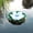 White1, variant on VBODN Outdoor Solar Lights, Hanging Solar Lights for Outside, Outdoor Solar Lights for Fence, Garden Landscape Lighting for Yard, Walkway