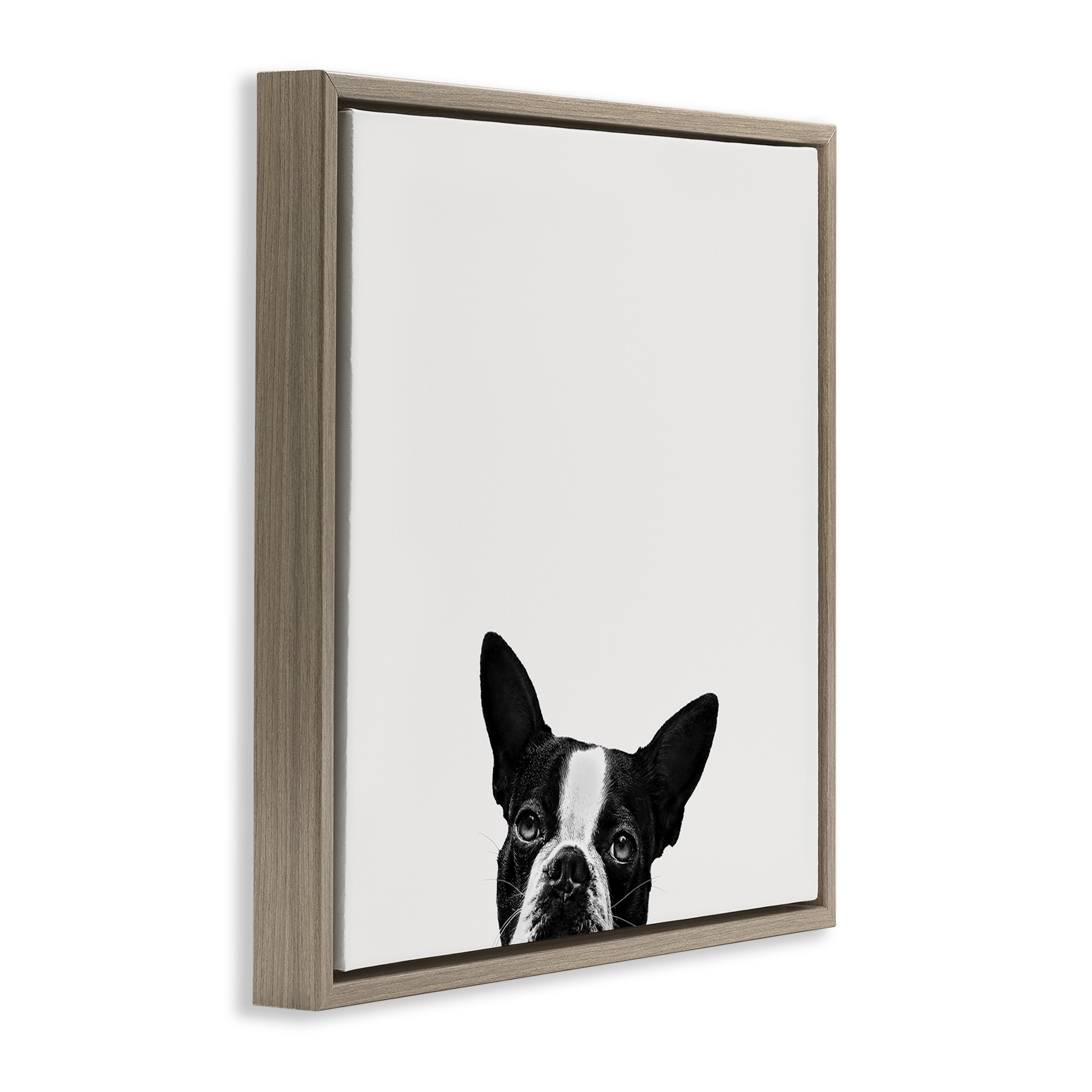 Stupell Industries Dog Peeking From Below Animals & Insects Painting Brown Floater Framed Canvas Art Print Wall Art, 18 x 18