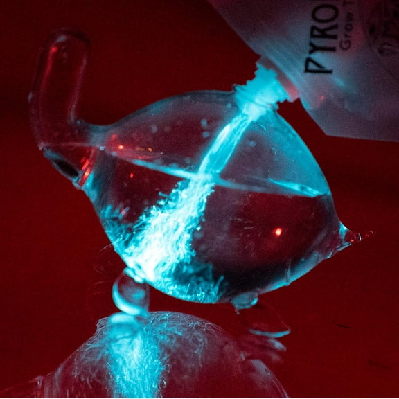 The Living Bioluminescent Bio-Turtle - A Glass Turtle microaquarium Filled with bioluminescent Glowing Plankton