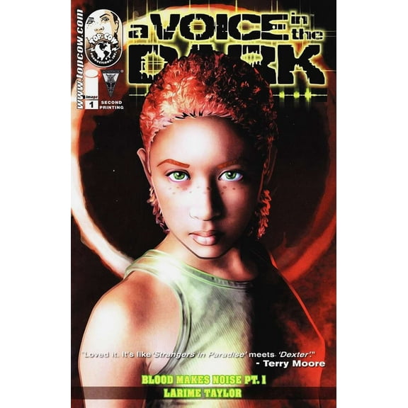 Voice In The Dark, A #1 (2nd) VF ; Image Comic Book