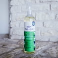 thumbnail image 4 of Pet Life Unlimited Flea & Tick Home Treatment Spray for Homes with Dogs or Cats, 16oz, 4 of 12