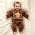 thumbnail image 2 of Ruyang Toddler 2 Piece Outfit Flannel Cute Animal Embroidery Long Sleeve Pullover Solid Plush Pants Sets Baby Autumn Winter Thermal Clothes, 2 of 5