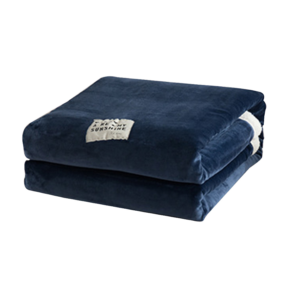 Double Layer Thickened Coral Pile Blanket Winter Lambskin Double Person