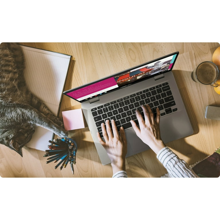 Asus Chromebook C423 C423NA-DH02 14 Asus Chromebook C423 C423NA-DH02 14
