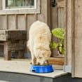 thumbnail image 4 of Farm Innovators Signature Series 3QT Heated Pet Bowl with Steel Insert, 4 of 5