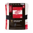 thumbnail image 1 of Sunbeam® Detroit Red Wings® Heated Throw, 1 of 2