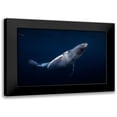 thumbnail image 1 of Gabriel, Barathieu 24x17 Black Modern Framed Museum Art Print Titled - Humpback Whale, 1 of 5