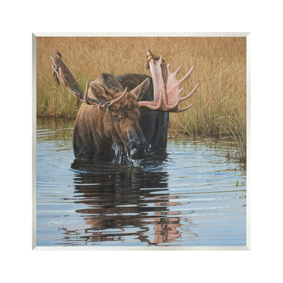 Stupell Industries Moose In Water Wildlife Scene Animals & Insects Painting Unframed Art Print Wall Art