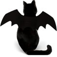 thumbnail image 2 of Spook Up Your Pet this Halloween with These Adorable Bat Wings!, 2 of 4