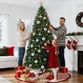 thumbnail image 7 of Jingle Joy 9 ft Evergrow Spruce Premium Hinged Artificial Christmas Tree, 2101 Branch Tips, Unlit, Realistic Full Shape, Metal Stand Included, 7 of 7