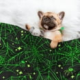 thumbnail image 3 of Naloa Green Bright Web with Spiders Dog Blanket, 3 Sizes Cat Blanket for Indoor Cats Large Medium Small Dog Gifts-Medium, 3 of 8