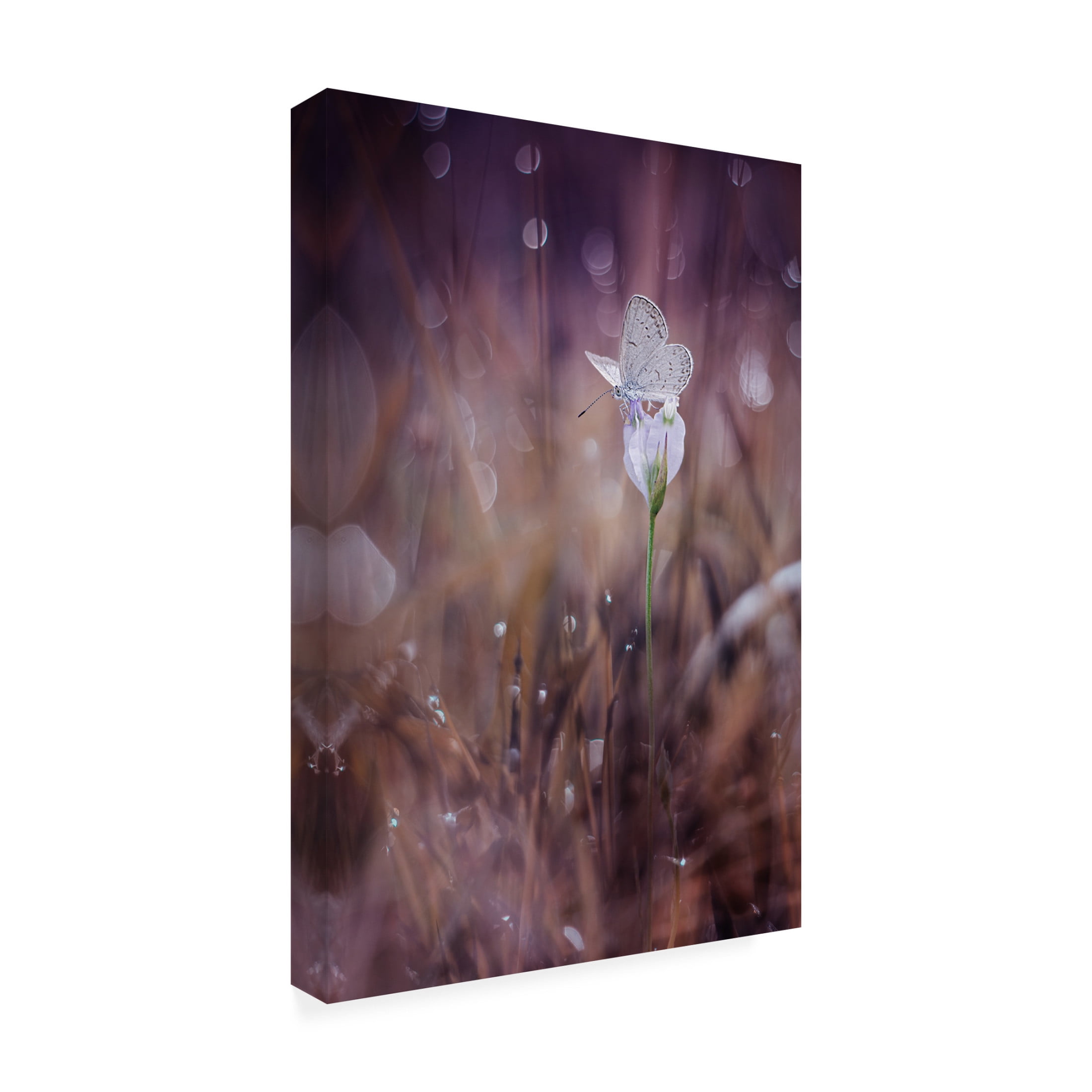 Canvas Wall Art - Ahmad Baihaki 'Waiting' Wall Art for Living Room, Bedroom, or Office D?cor by Trademark Fine Art - 22 x 32 Inches