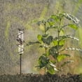 thumbnail image 3 of Hummingbird Lawn Rain Gauge Glass Floating Meter for Outdoor Garden Landscapes, 3 of 10