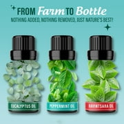 GuruNanda Breathe Essential Oil Blends for Sinus, Congestion & Aromatherapy - Set of 3